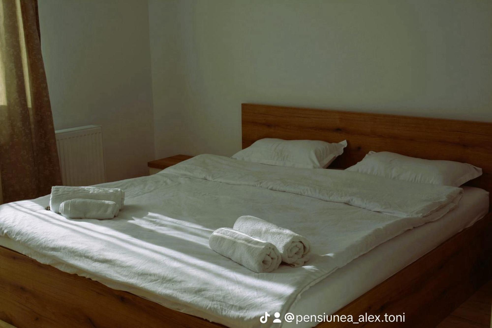 Pensiunea Alex Si Toni Sebes  Ngoại thất bức ảnh